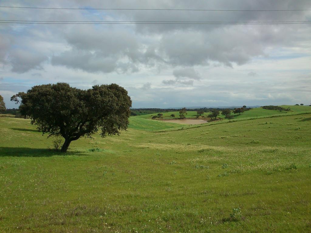 Cantar Do Grilo - Turismo Rural Serpa Εξωτερικό φωτογραφία