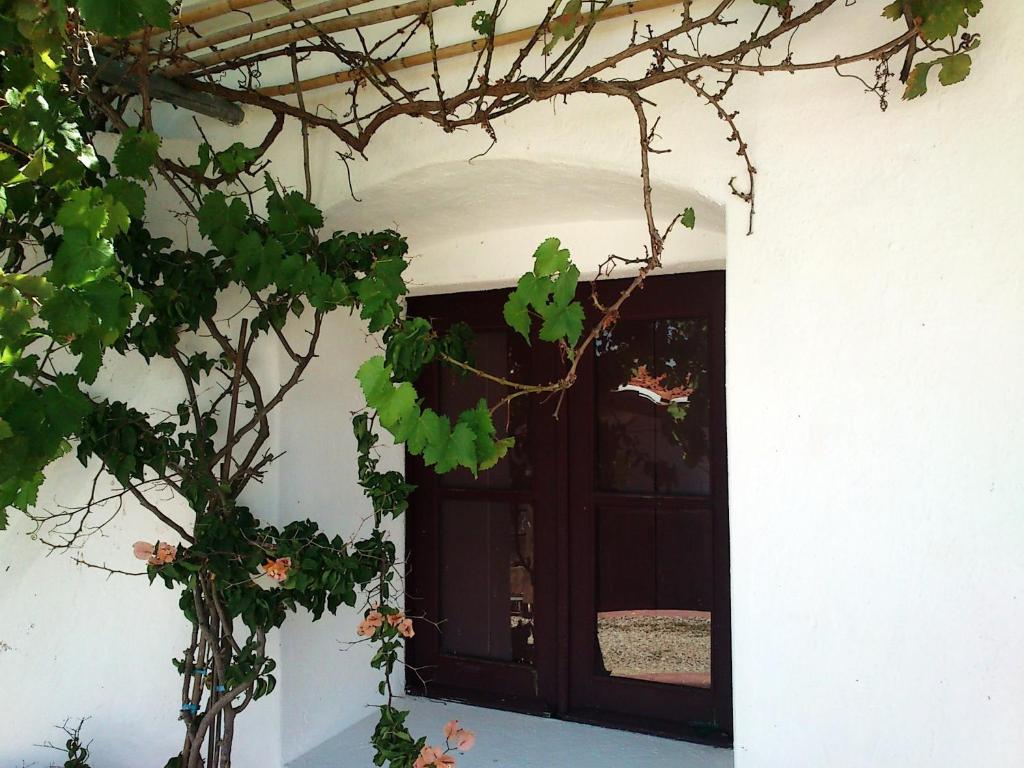 Cantar Do Grilo - Turismo Rural Serpa Εξωτερικό φωτογραφία
