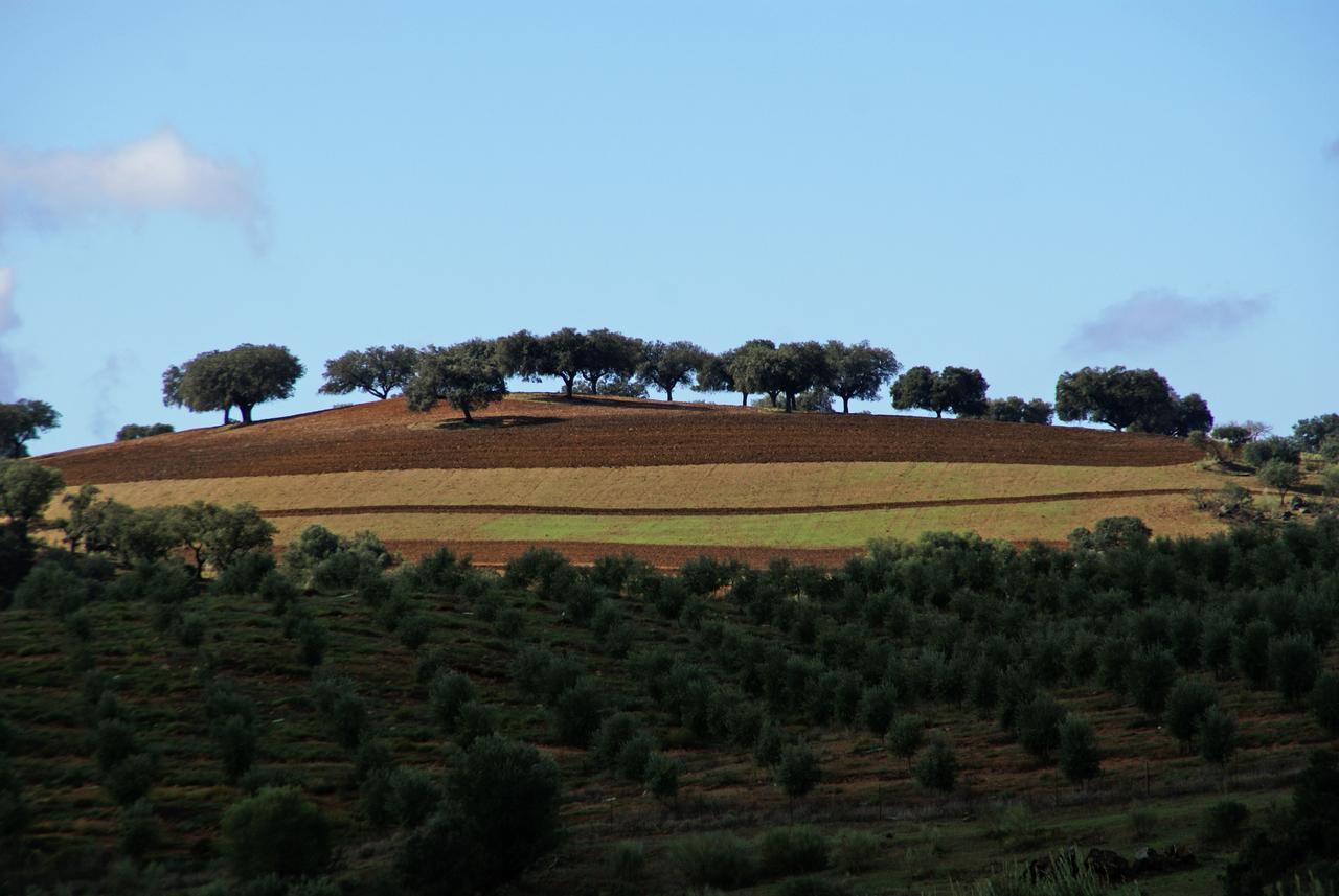 Cantar Do Grilo - Turismo Rural Serpa Εξωτερικό φωτογραφία