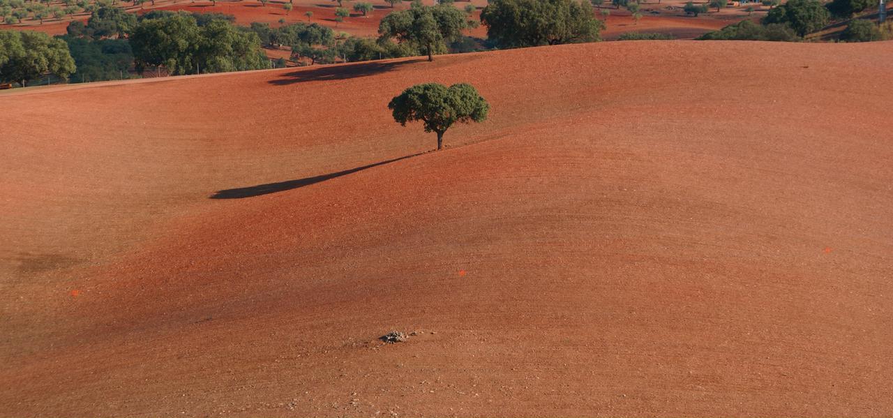Cantar Do Grilo - Turismo Rural Serpa Εξωτερικό φωτογραφία